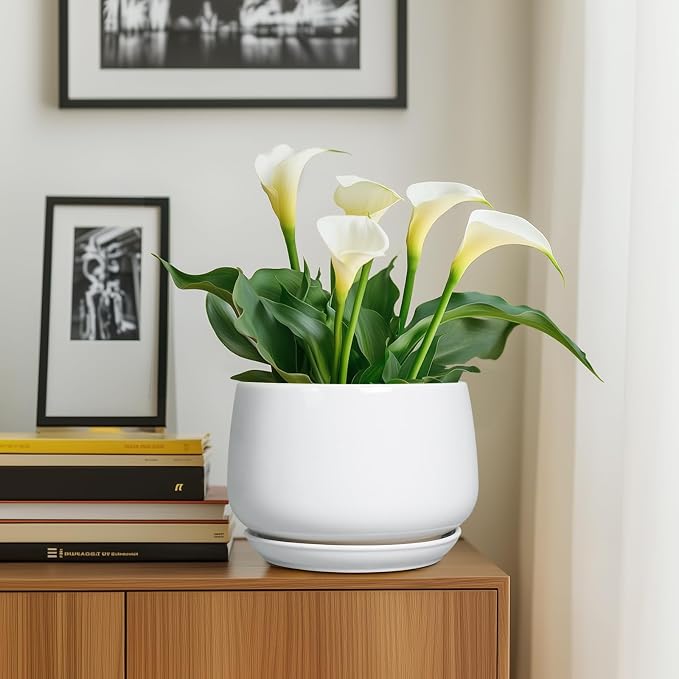G EPGardening Ceramic Planter 9 Inch - Image 6