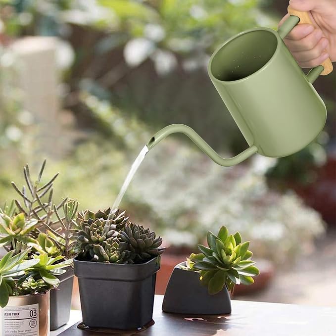 Watering Can Indoor Plants, 35 oz/1000 ml Metal Stainless Steel Watering Can Pot - Image 2