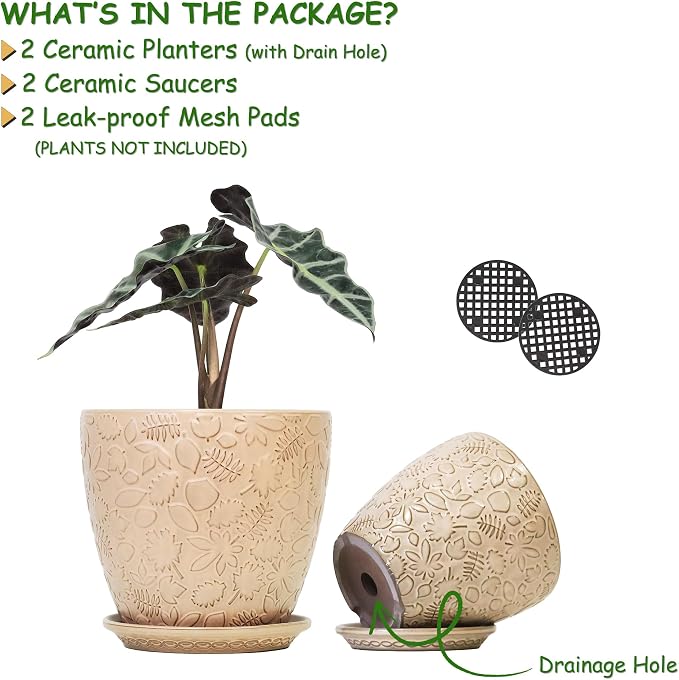8 Inch + 6 Inch Retro Ceramic Planter Set of 2 - Image 2