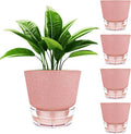 Self Watering Pots for Indoor Plants, by HYNZ