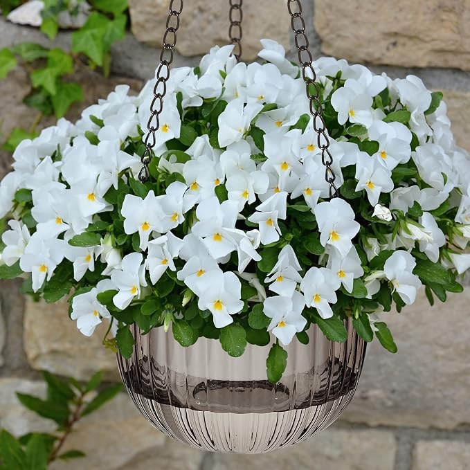 Meanplan 4 Pcs Self Watering Hanging Planter Indoor 6.5 Inch Hanging Baskets - Image 7