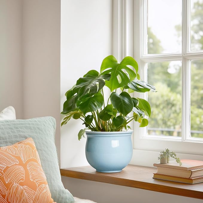 Ceramic African Violet Pots for Indoor Plants, 6 Inch Self Watering Planters - Image 4