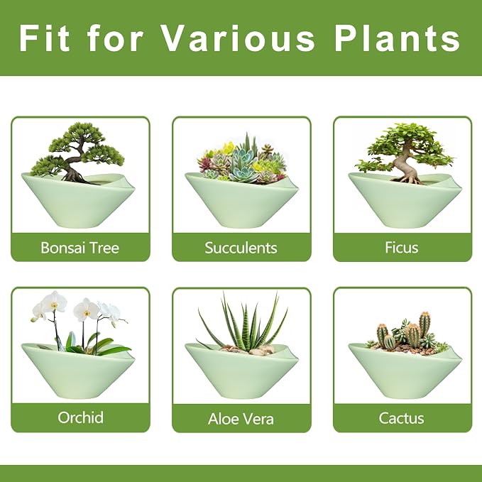 Ceramic Bonsai Pots - Image 7