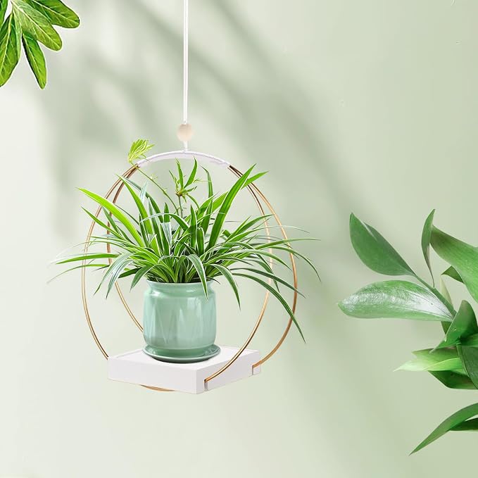 Hanging Planters for Indoor Plants, Plant Hanger - Image 6
