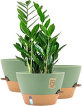 12-Inch Self Watering Planters by FIASON