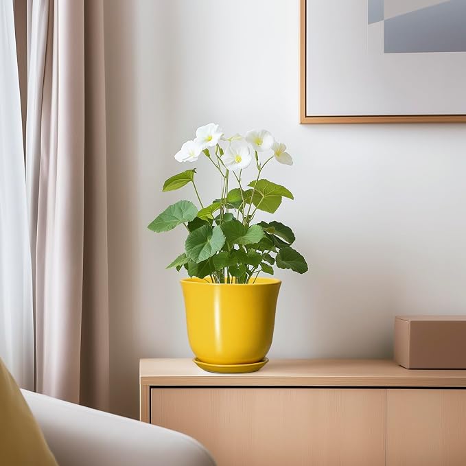 Ceramic Plant Pots - Image 6