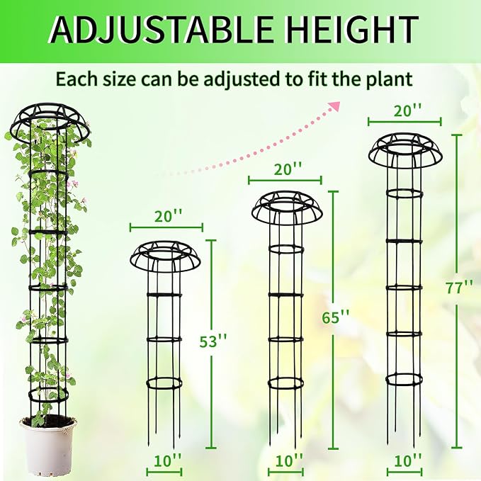 2-Pack 77-Inch Garden Trellis for Climbing Plants, Heavy-Duty Metal Obelisk - Image 2