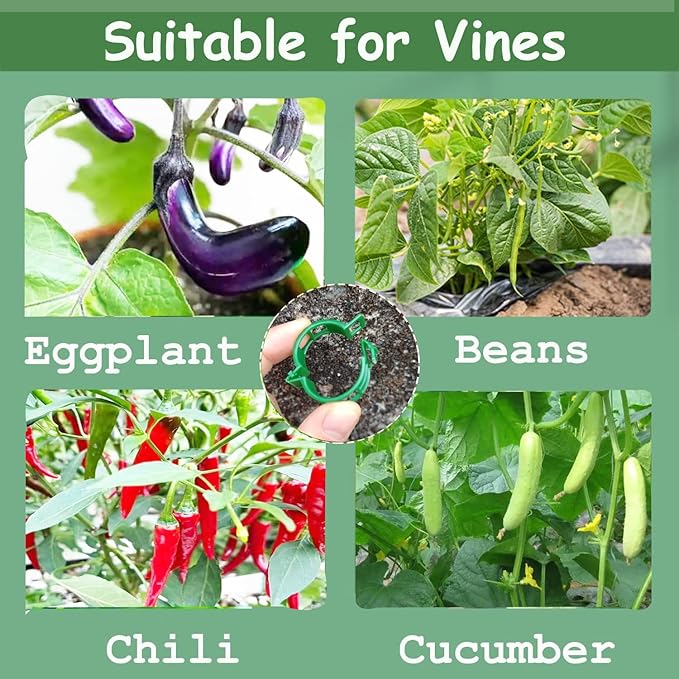 Plant Support Clips, Plastic Trellis Clips, Grape Vine Tomato Vine Vegetables - Image 6