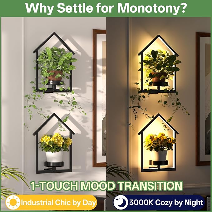 Wall Planters for Indoor Plants - Image 6