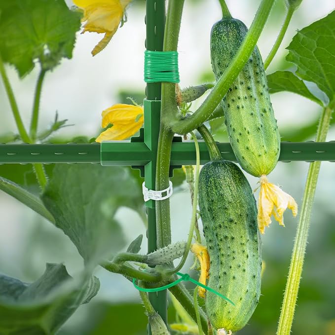 Cucumber Trellis for Raised Bed, U-Shape Garden Trellis for Climbing Plants - Image 3