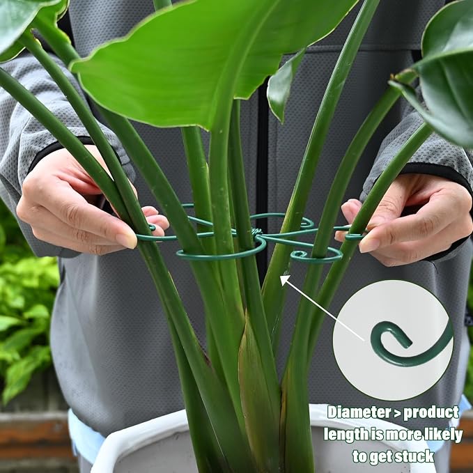 Monstera Plant Stem Support - Image 4