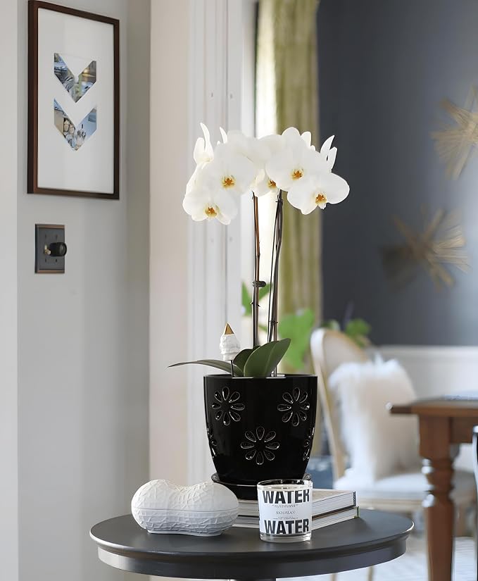 Oairse 6 inch Orchid Pots with Holes, Indoor Plant - Image 6