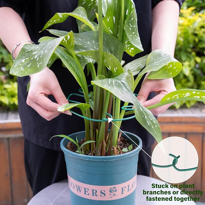 5PCS Monstera Plant Stem Support 7.3*6.25IN Adjustable Holder - Image 4