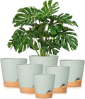 GARDIFE Plant Pots 8/7/6.5/6/5.5/5 Inch Self Watering Planters by GARDIFE