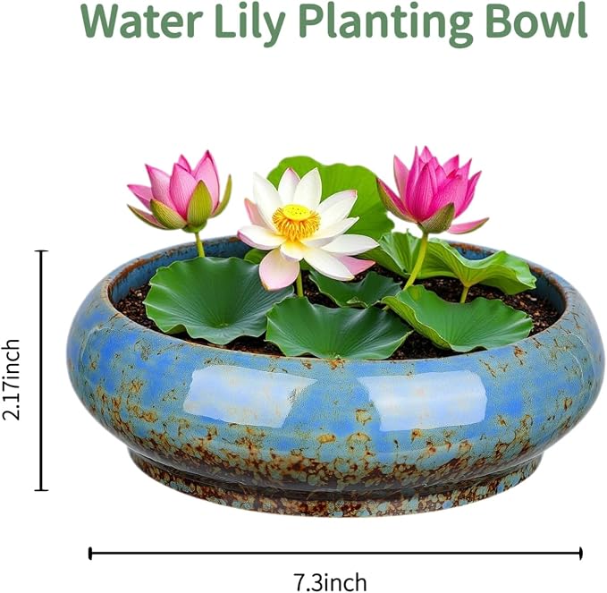 7.3 Inch Succulent Planters Pots Shallow Ceramic Glazed Planter Pots, Lotus - Image 3