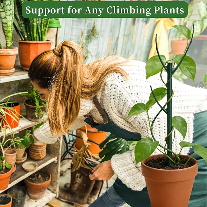 5 Pack Stackable Plant Support Stakes, 38inch Climbing Plant Sticks Structures - Image 5