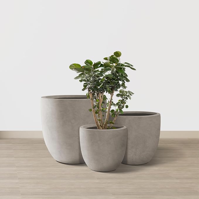 Kante 20", 13.4" Dia Round Concrete Planters, Outdoor Indoor Modern Decorative - Image 2