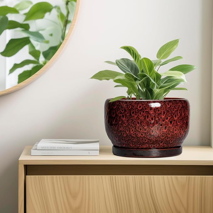 SQOWL Ceramic Flower Pots - Image 7