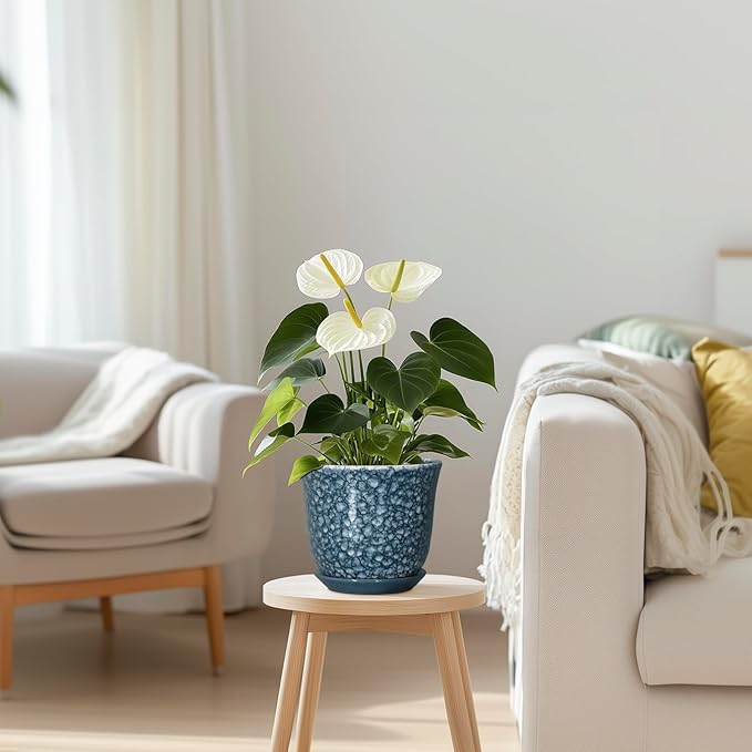 Ceramic Pots for Plants - Image 7