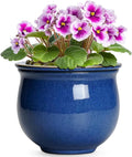 6 Inch Self Watering Pots, Ceramic African Violet Planter by Teagas