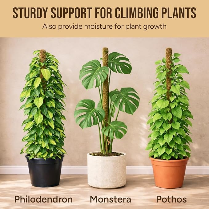 Moss Pole Monstera Plant Support – 2 Pack 28” Bendable Moss Pole Monstera Plant - Image 5