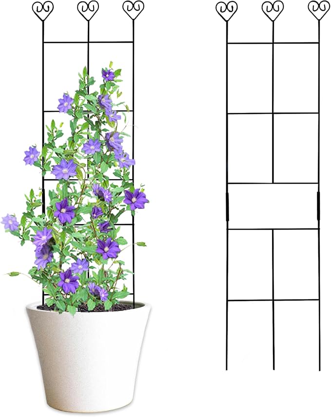 2 Pack 30'' Plant Trellis for Climbing Plants Indoors, Metal Garden Trellis for by Hensal