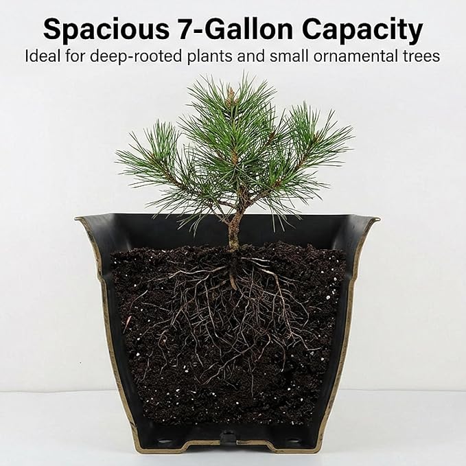 14 Inch Vintage Square Planter - Image 4
