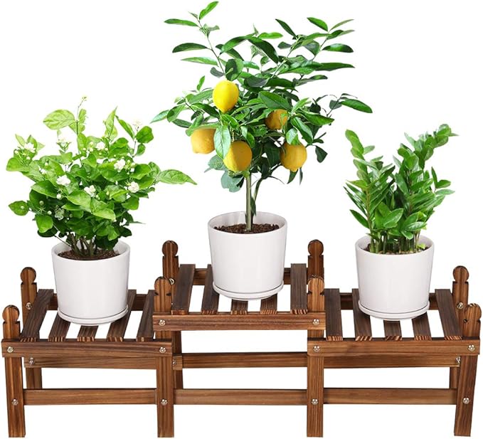 Wood Flower Stand Small Plant Stand Indoor Outdoor Plant Shelf Low Window Shelf by TOVACU