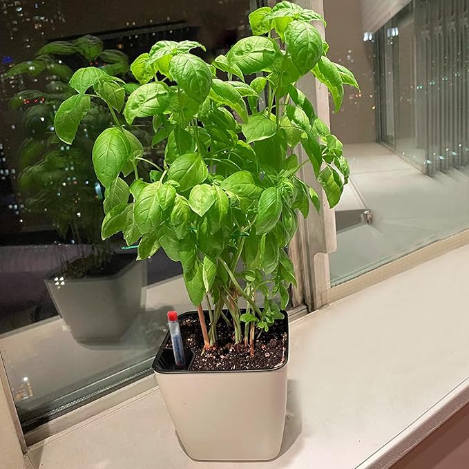 5.5 Inch Self Watering Plastic Planter - Image 7