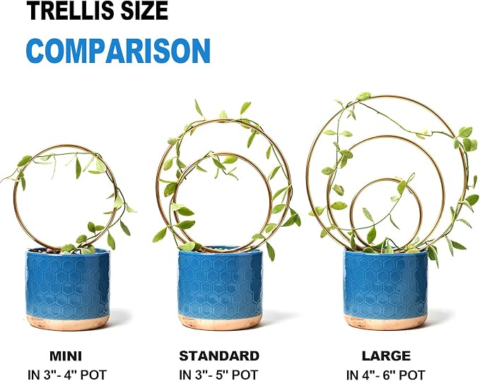 Hoya Trellis for Indoor Plants - Image 3