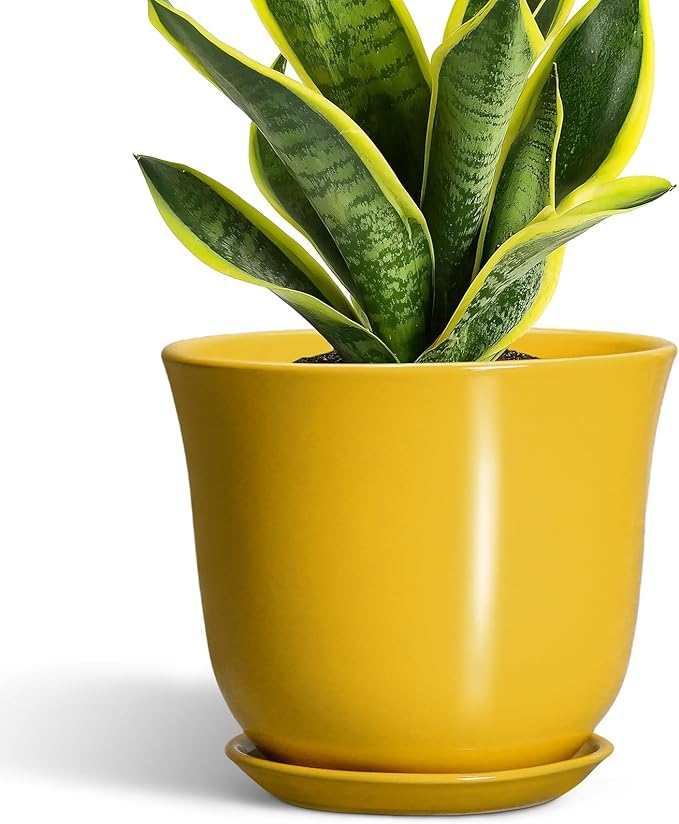 Ceramic Pots for Plants by SUNPOTFOR