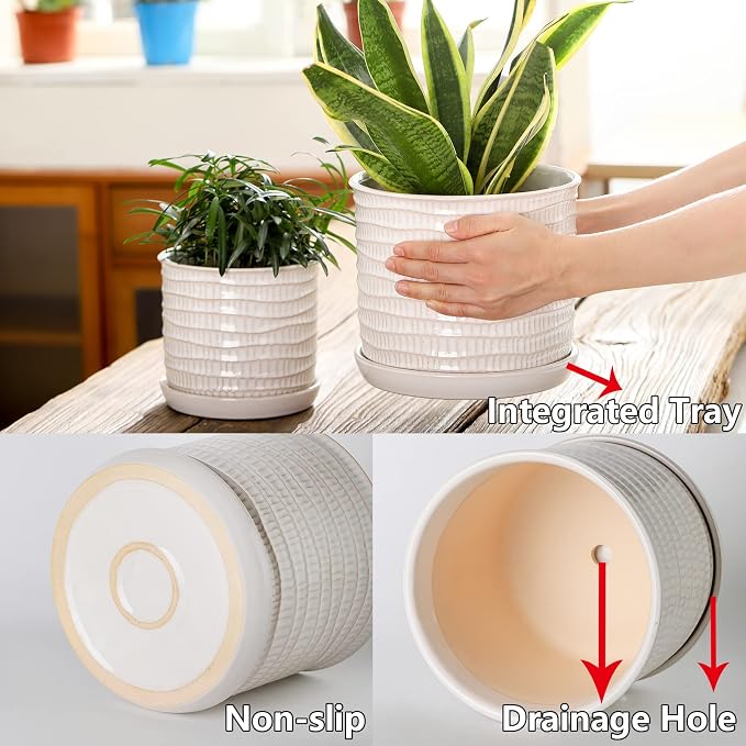 8 Inch Plant Pot: Ceramic Planter - Image 3