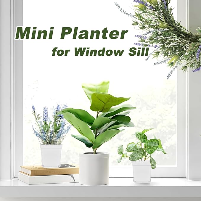 Anyumocz 24Pcs 3" Square Plastic Plant Pots, Seedling Nursery Transplanting - Image 4