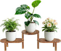 3 Tier Corner Plant Stand Indoor by Jotboom