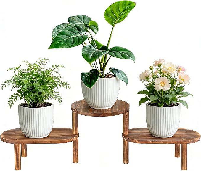 3 Tier Corner Plant Stand Indoor by Jotboom