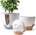 T4U 3 Pack Self Watering Pots by T4U