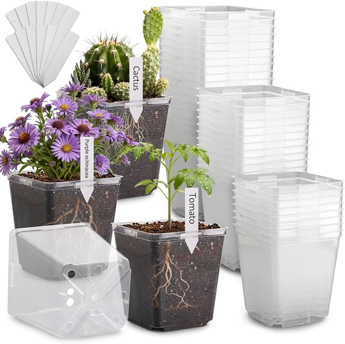 5.5 Inch Clear Square Nursery Pots by RooTrimmer