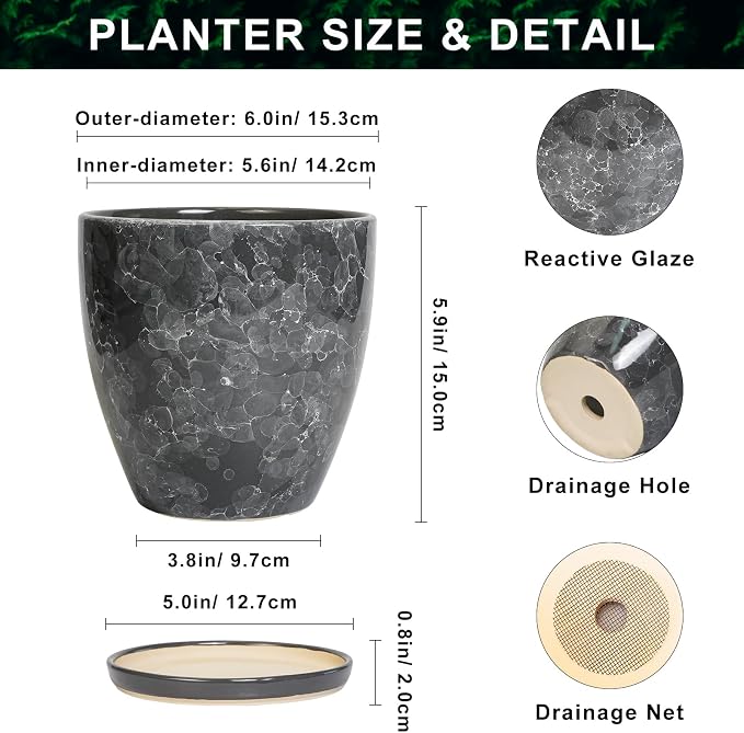 Ceramic Pots for Plants - Image 2