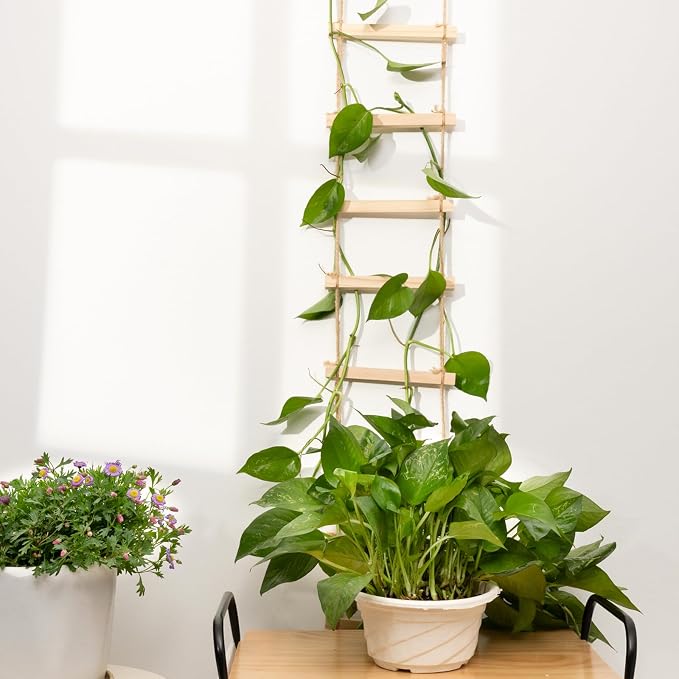 2PCS Chain Trellis for Climbing Plants - Image 4