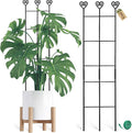 Coomin 2 Pack 32in Monstera Plant Support Stakes by COOMIN