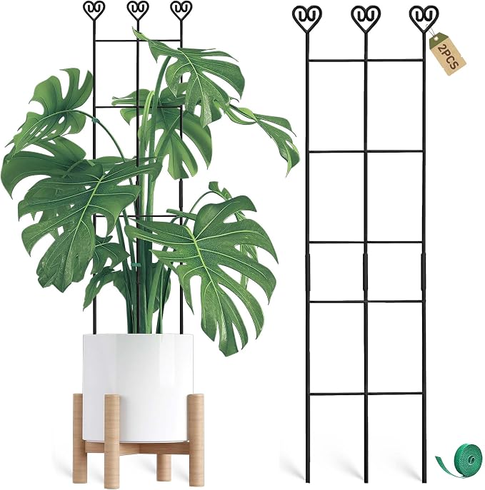 Coomin 2 Pack 32in Monstera Plant Support Stakes by COOMIN