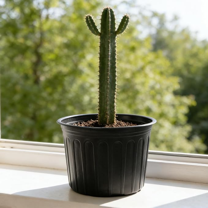 12-Pack 5 Gallon Flexible Plastic Plant Pots, Thickened Soft Seed Starting - Image 6