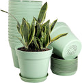 WOUSIWER 16 Pack 6 inch Plastic Planters, Plastic Indoor Planter Flower Pots by WOUSIWER
