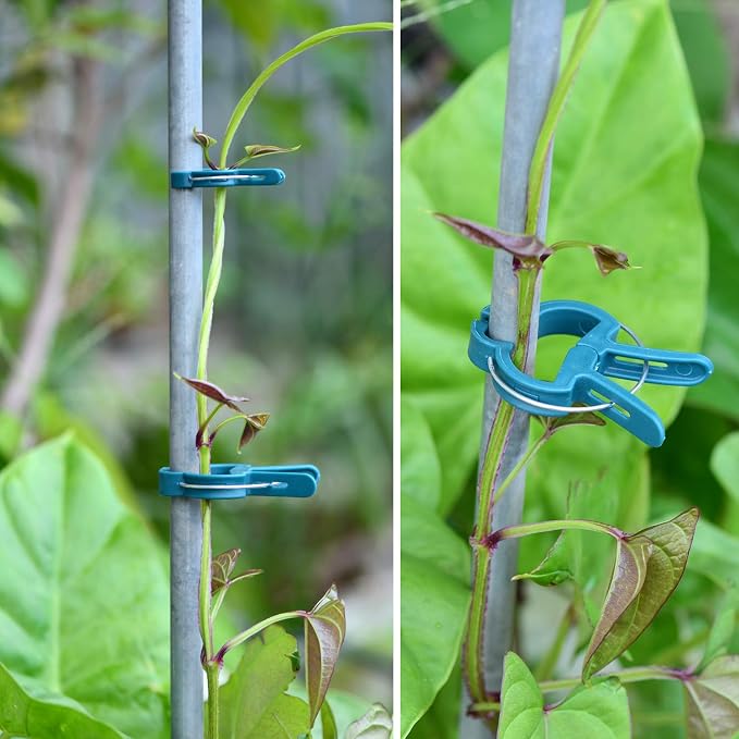 60PCS Plant Clips 2 Sizes Adjusting Reusable Garden Plant Supports Clips - Image 5