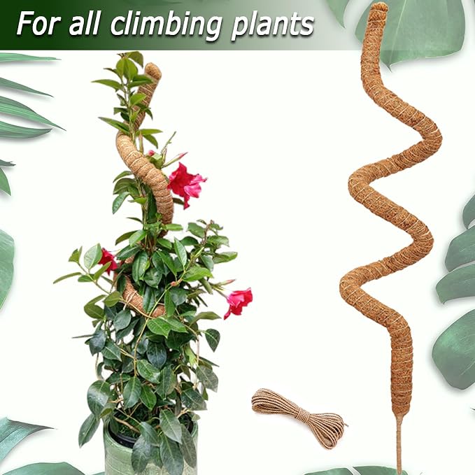 Moss Pole for Plants Monstera, 59 Inch Tall Bendable Moss Poles for Climbing - Image 3