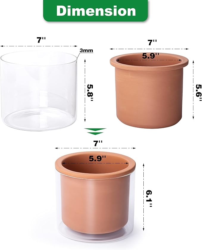 Phoenix Vine 6 Inch Self Watering Plants Pot, Design Terracotta Pot - Image 4