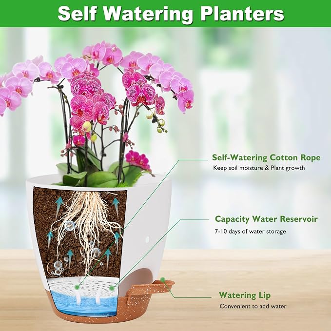 6 Inch Orchid Pots with Holes, 2 Pack Self Watering Planters - Image 3