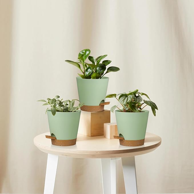 5 Pack 5 inch Self-Watering Pots, African Violets Planter - Image 6