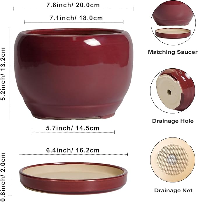 SQOWL Ceramic Planter - Image 3