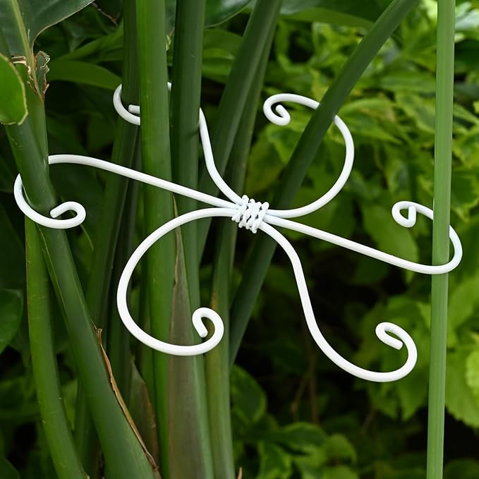 6.5 * 6.5in Monstera Plant Support Hook 5PCS - Image 6